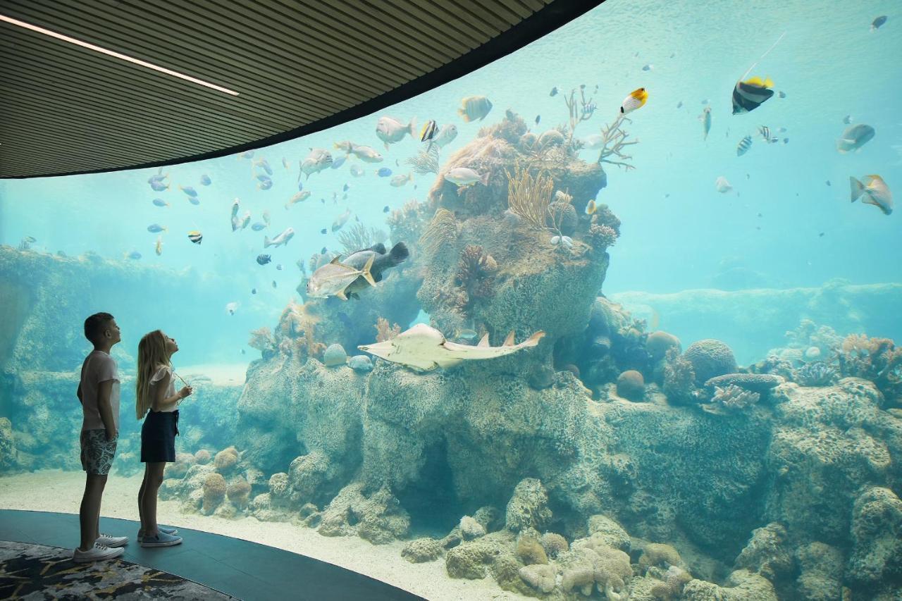 Daydream Island Resort Luaran gambar