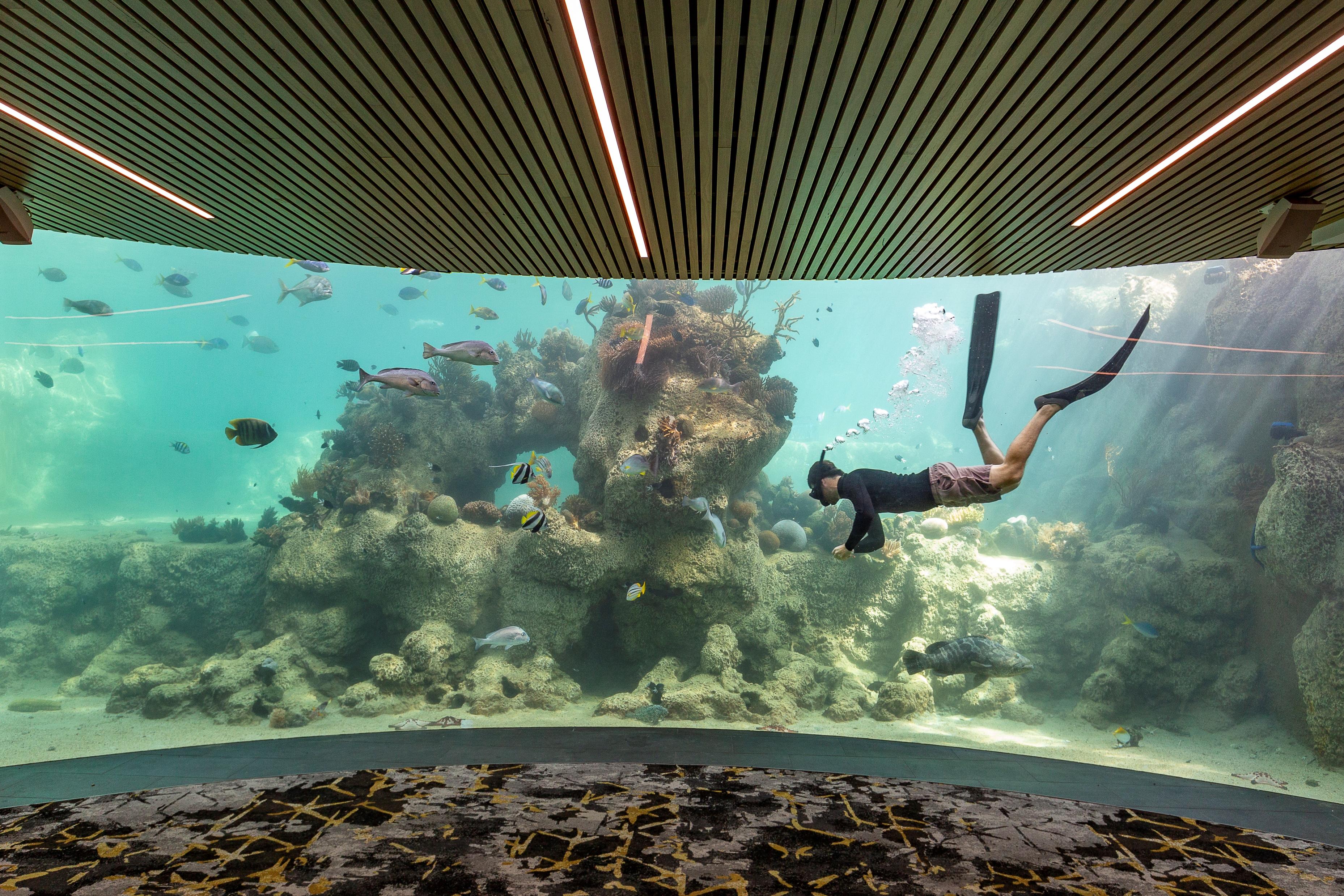 Daydream Island Resort Luaran gambar