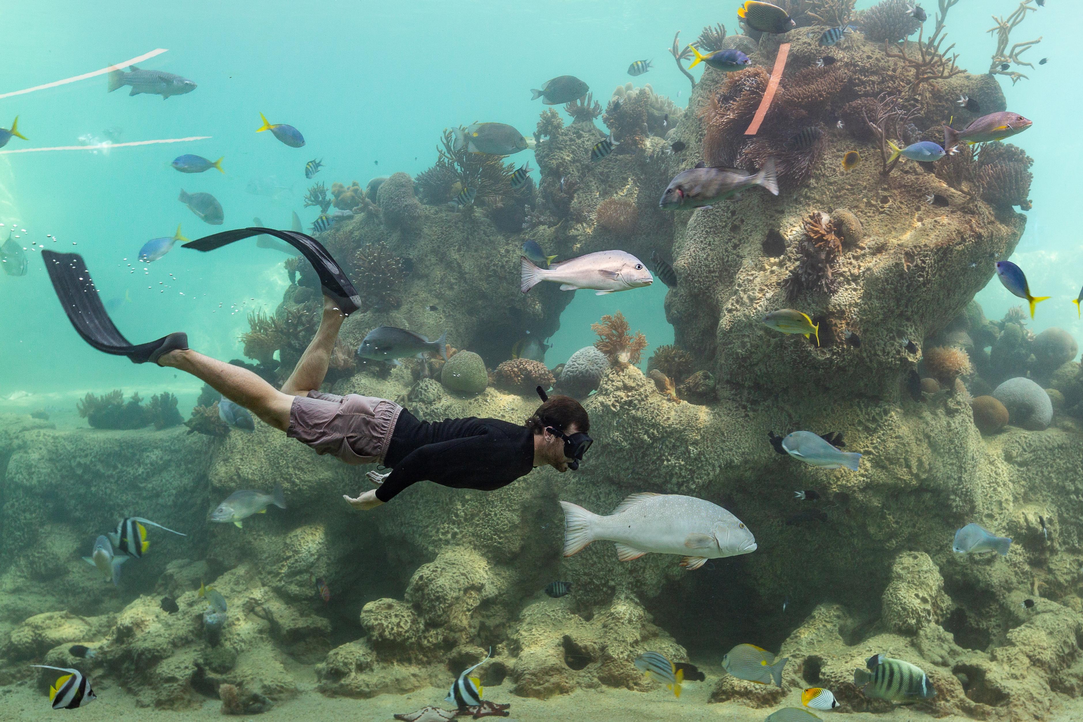Daydream Island Resort Luaran gambar