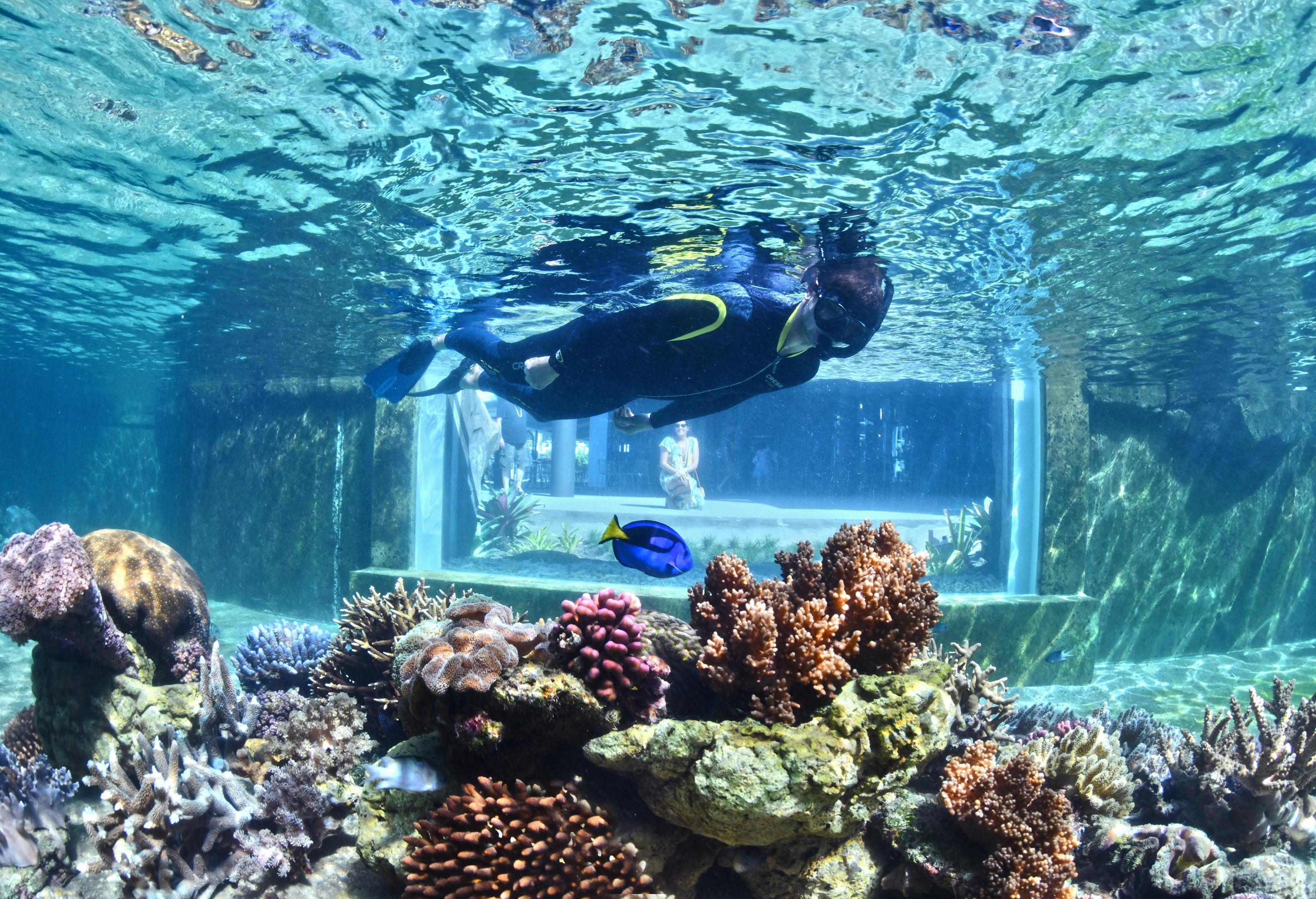 Daydream Island Resort Luaran gambar