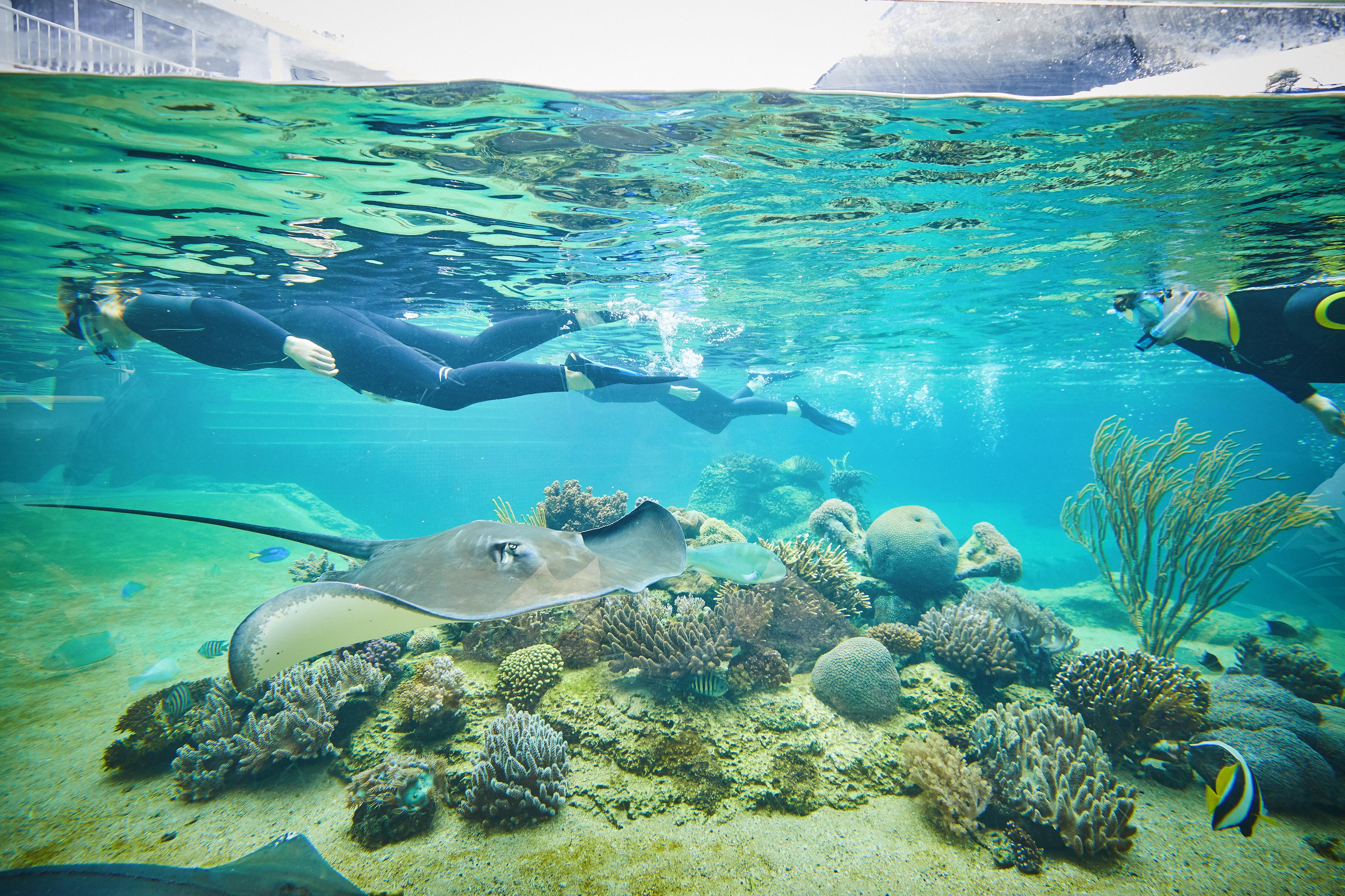Daydream Island Resort Luaran gambar