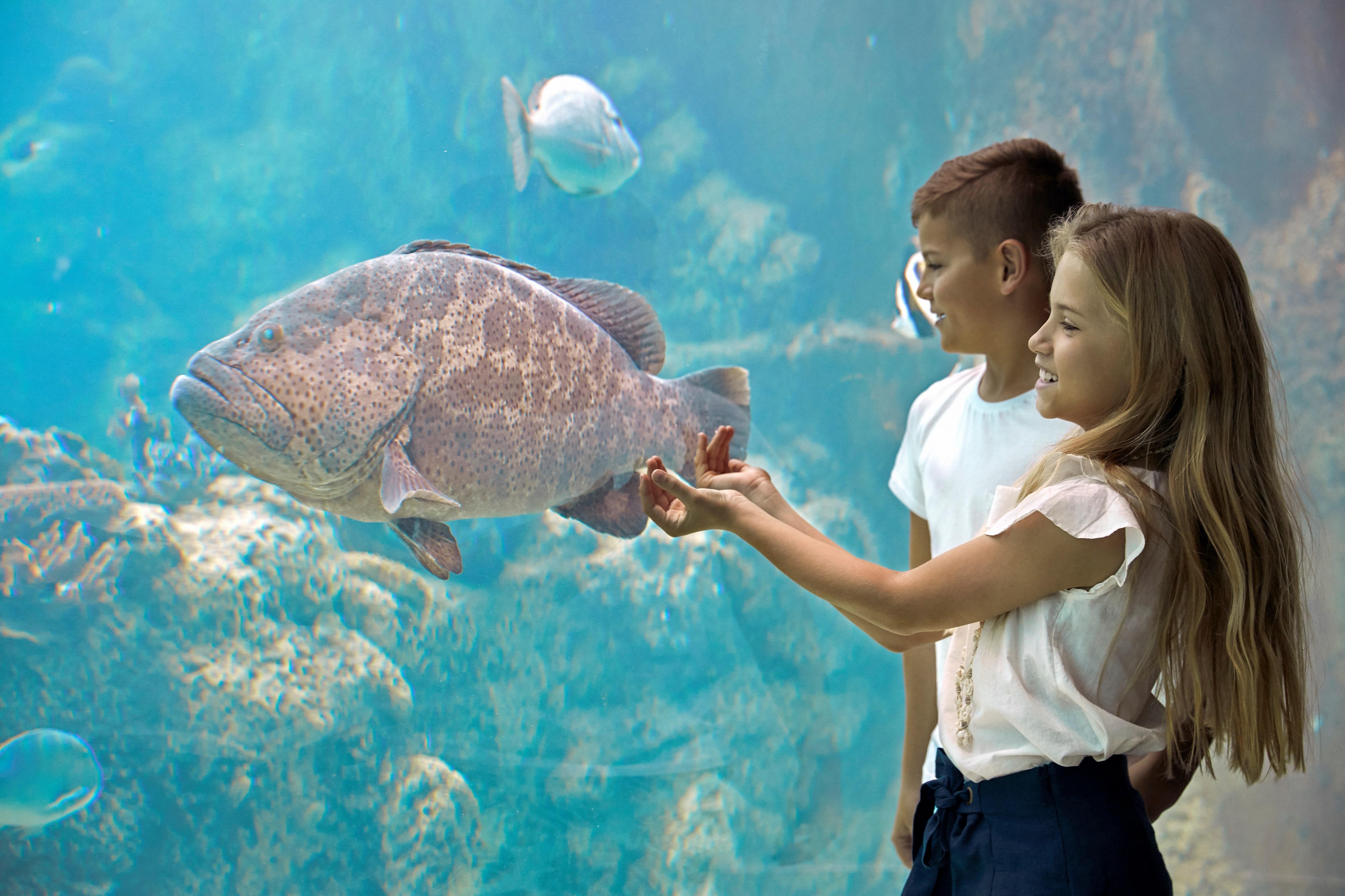 Daydream Island Resort Luaran gambar