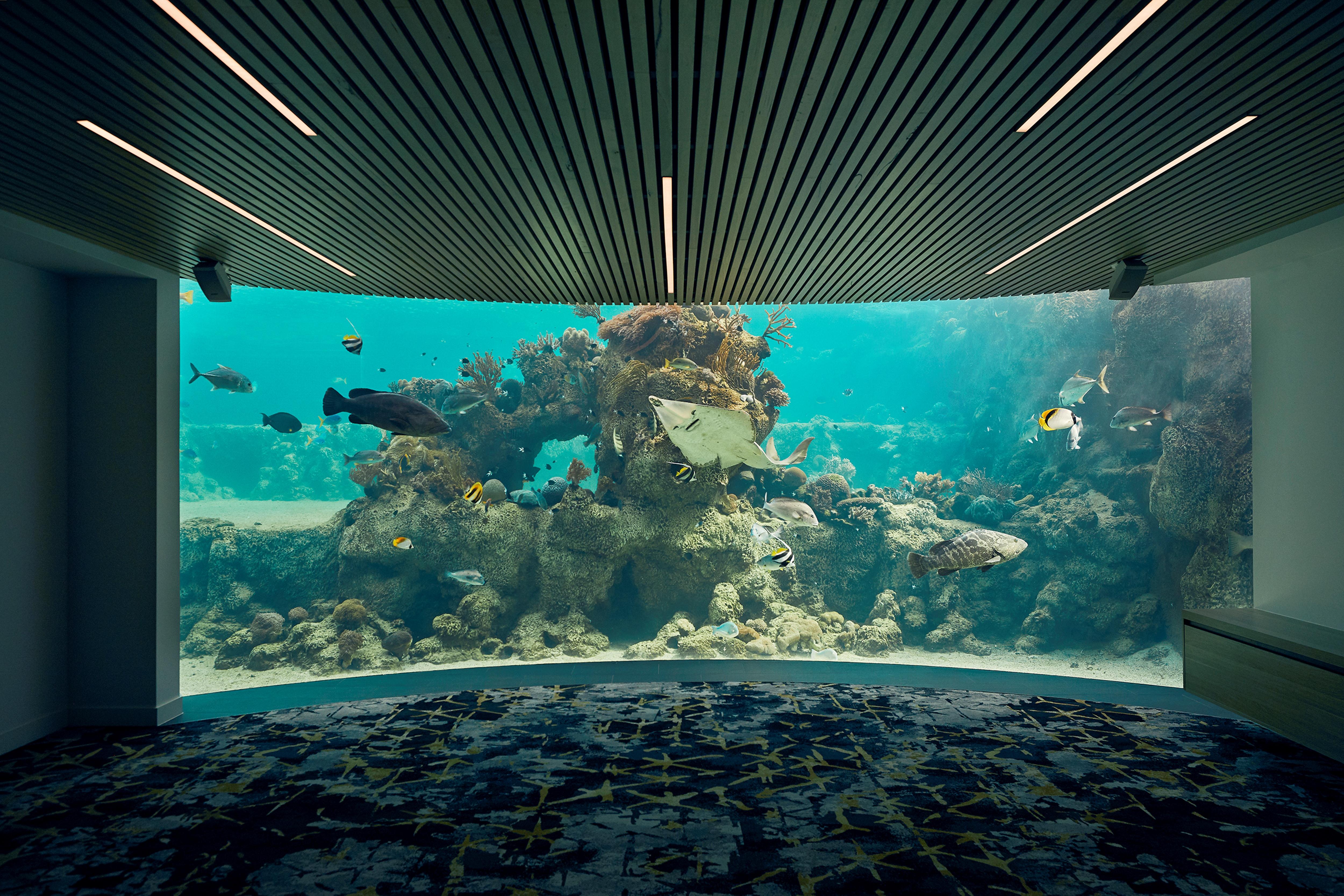 Daydream Island Resort Luaran gambar